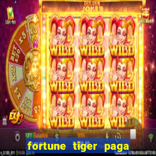 fortune tiger paga de madrugada